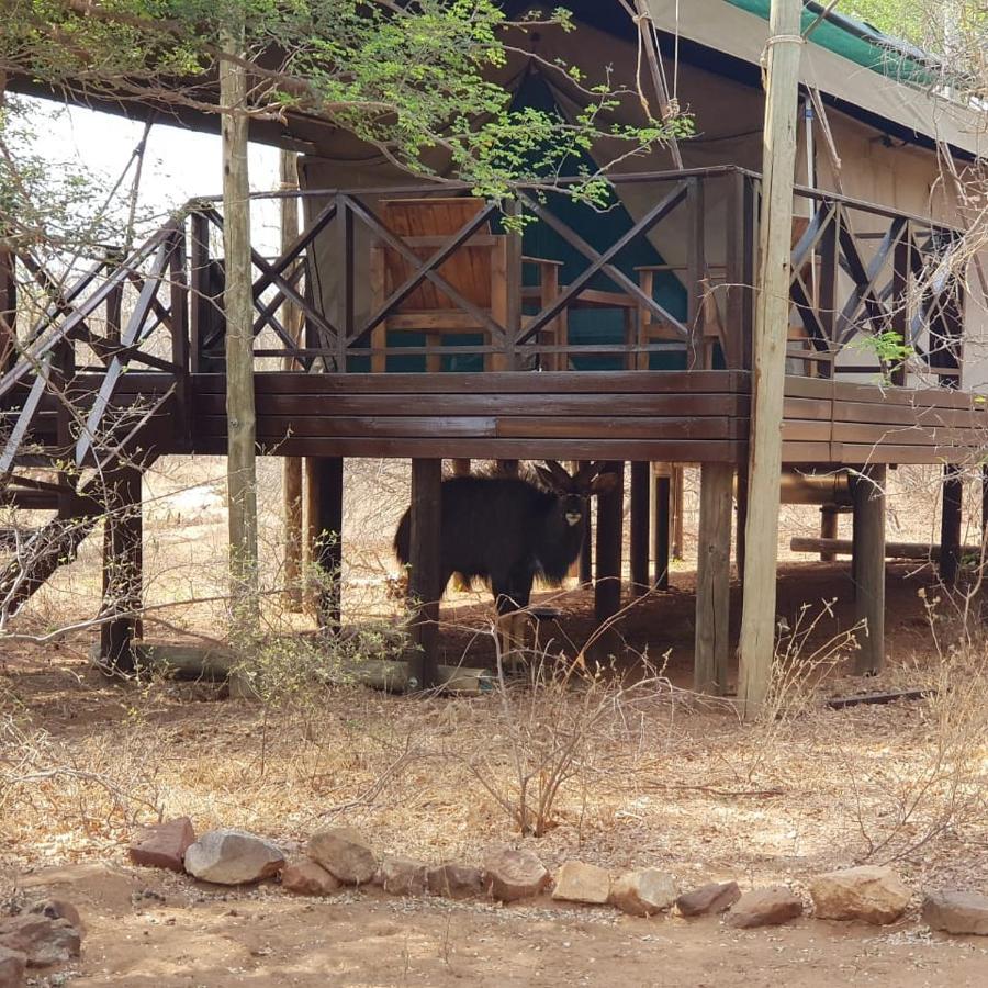 Hotel Kelora Bush Camp Hoedspruit Exterior foto